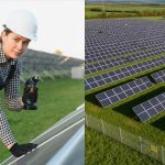 Ground Mount Solar Installation Services